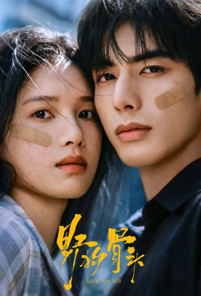 پوستر Love for You
عشق برای تو
