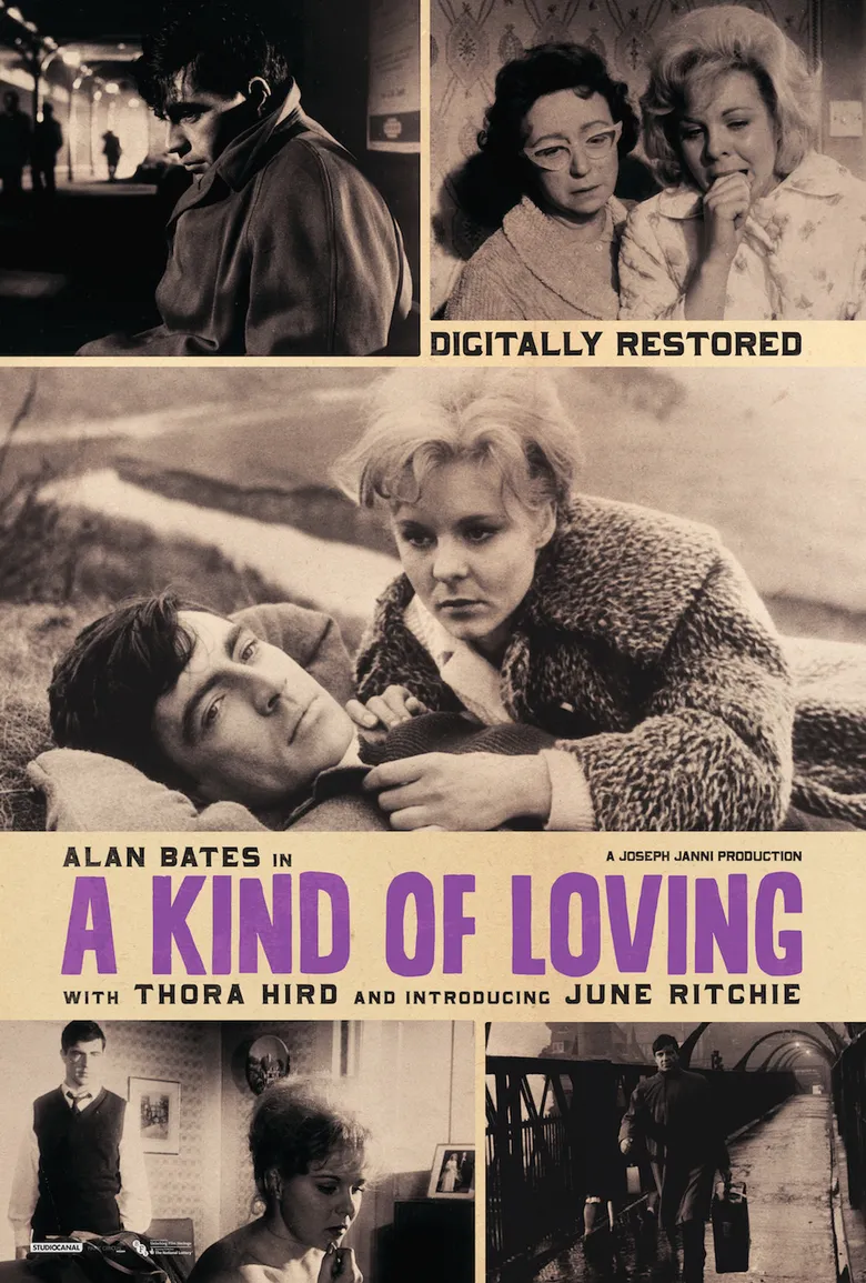 پوستر A Kind of Loving
شکلی از دوست داشتن