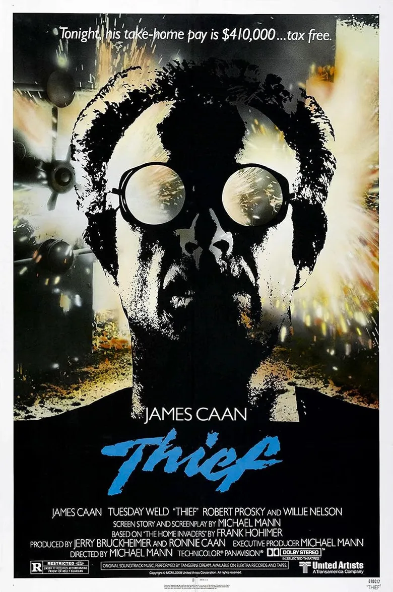 پوستر Thief
سارق