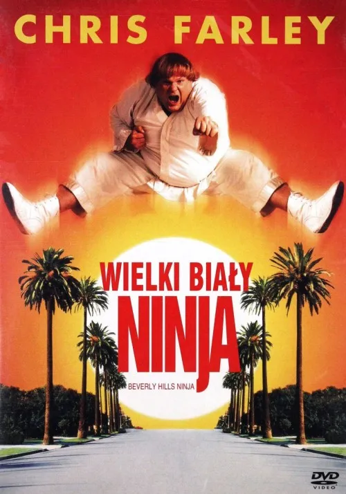 پوستر Beverly Hills Ninja
نینجای بورلی هیلز