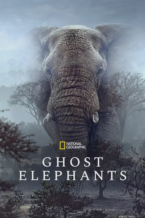 پوستر Ghost Elephants
فیل های شبح گونه