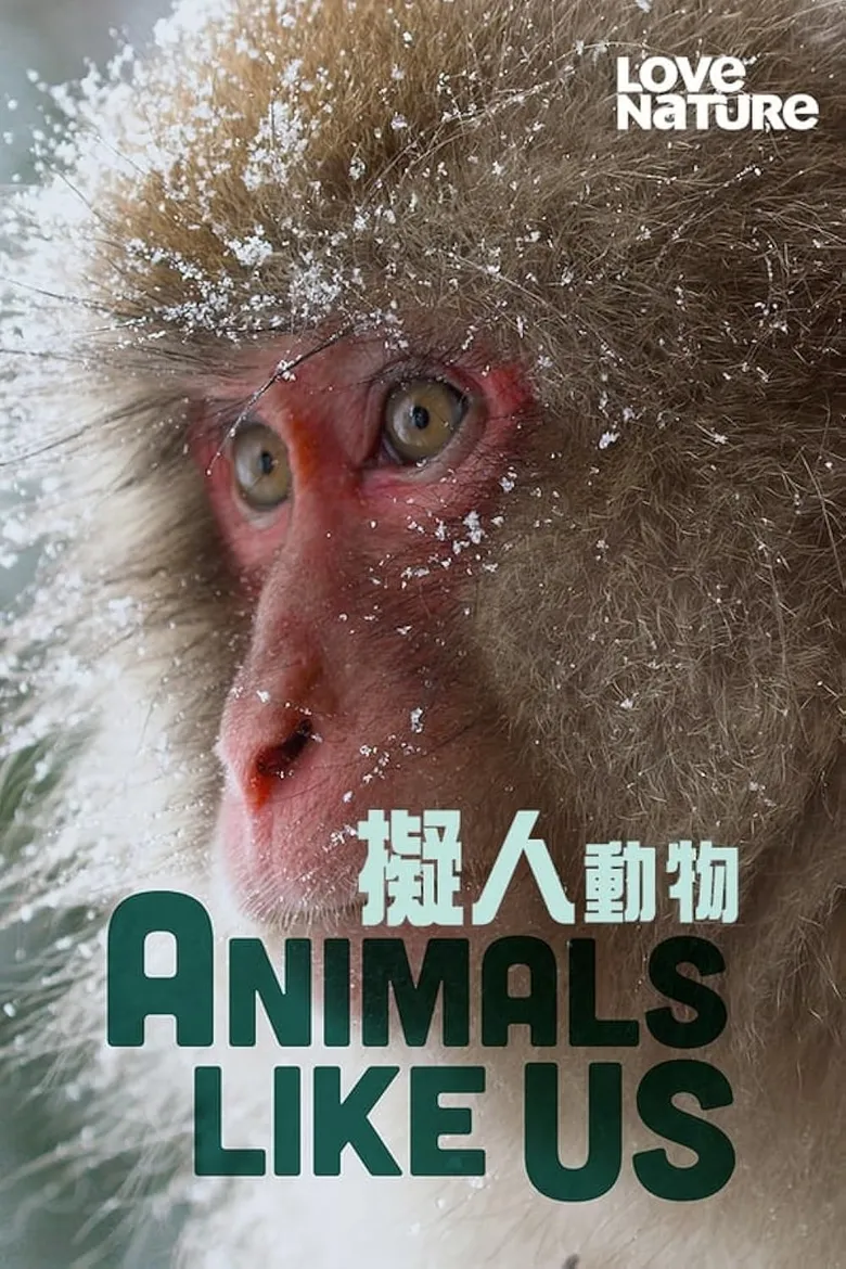 پوستر Animals Like Us
حیواناتی مثل ما