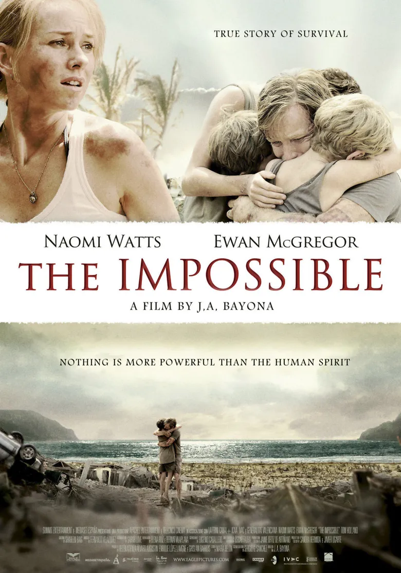 پوستر The Impossible
غیرممکن