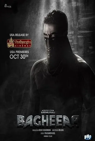 پوستر Bagheera
باگیرا