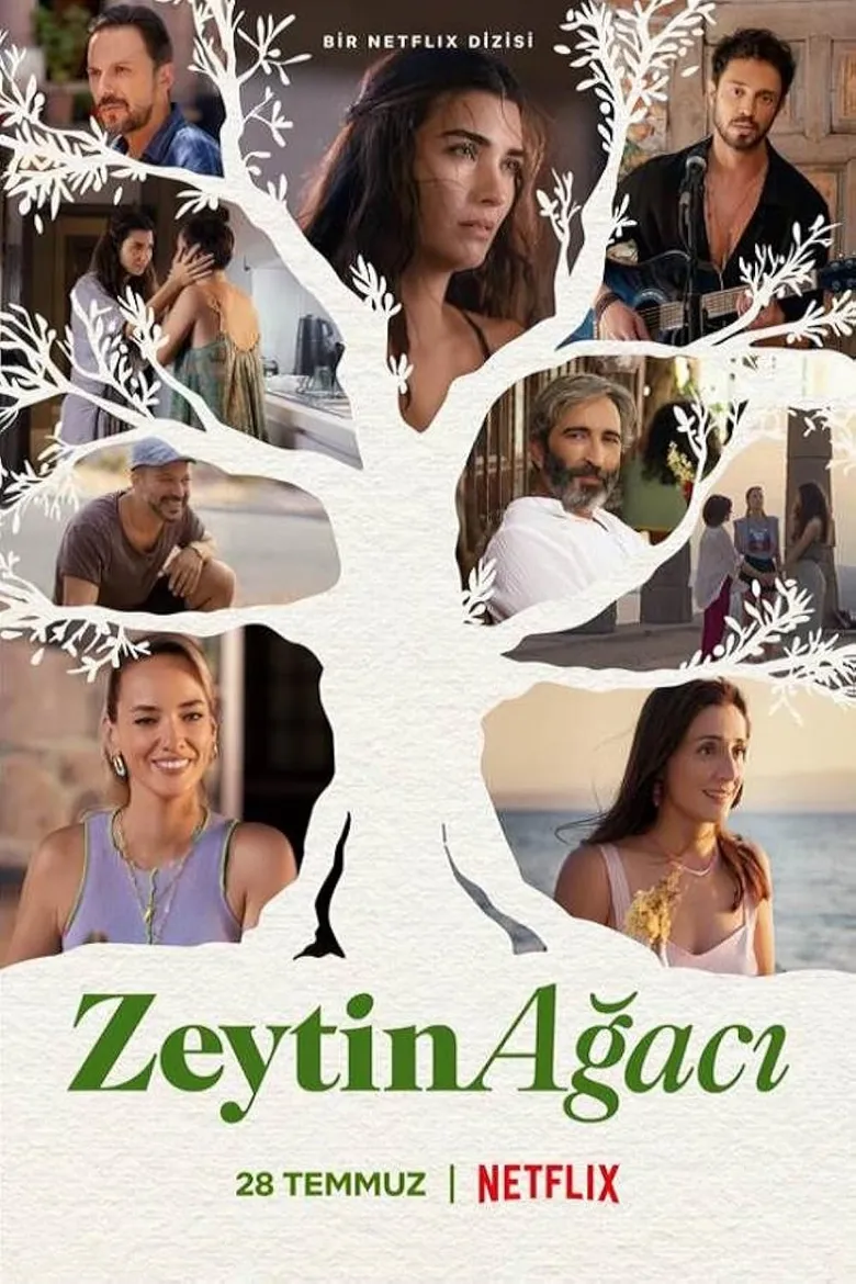 پوستر Zeytin Agaci
درخت زیتون