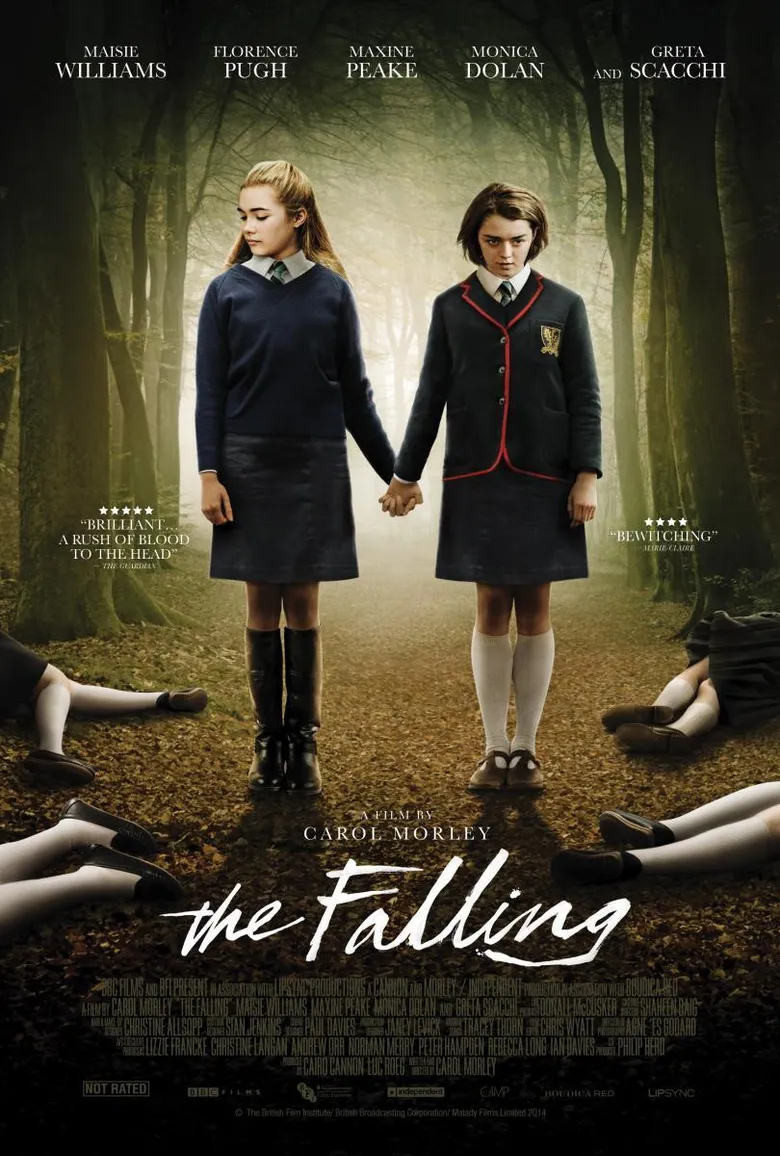 پوستر The Falling
سقوط کردن