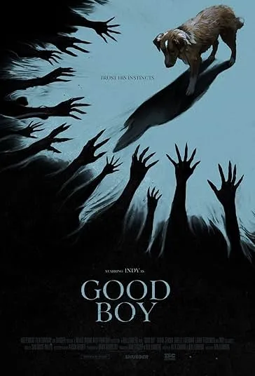 پوستر Good Boy
پسر خوب