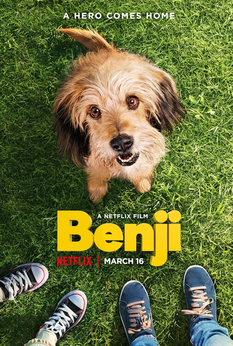 پوستر Benji
بنجی
