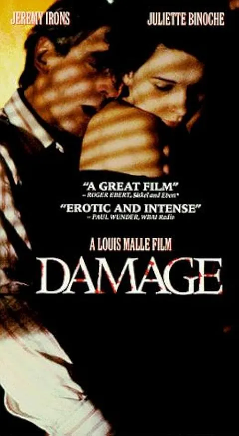 پوستر Damage
آسیب