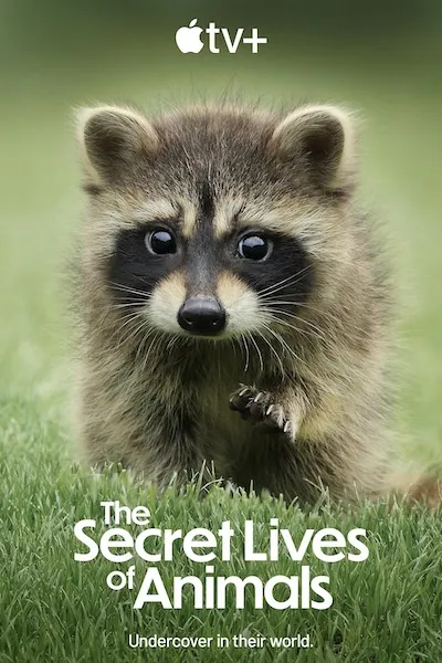 پوستر The Secret Lives of Animals
زندگی مخفی حیوانات