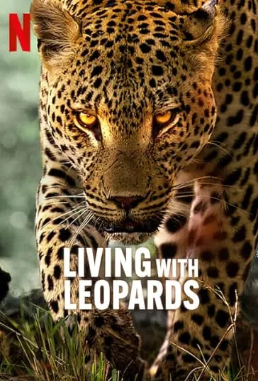 پوستر Living with Leopards
زندگی با پلنگ ها