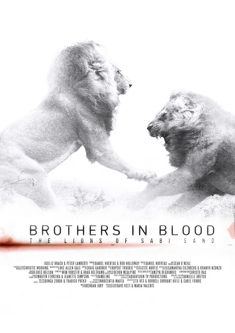پوستر Brothers in Blood: The Lions of Sabi Sand
برادران تنی: شیر های سابی سند
