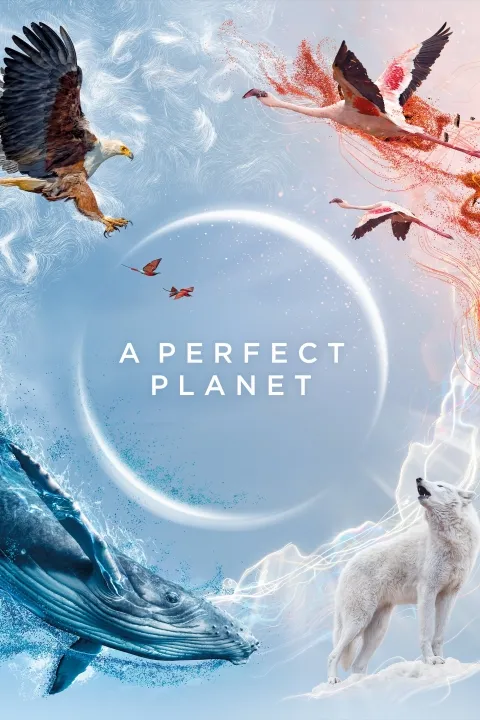 پوستر یک سیاره کاملA Perfect Planet