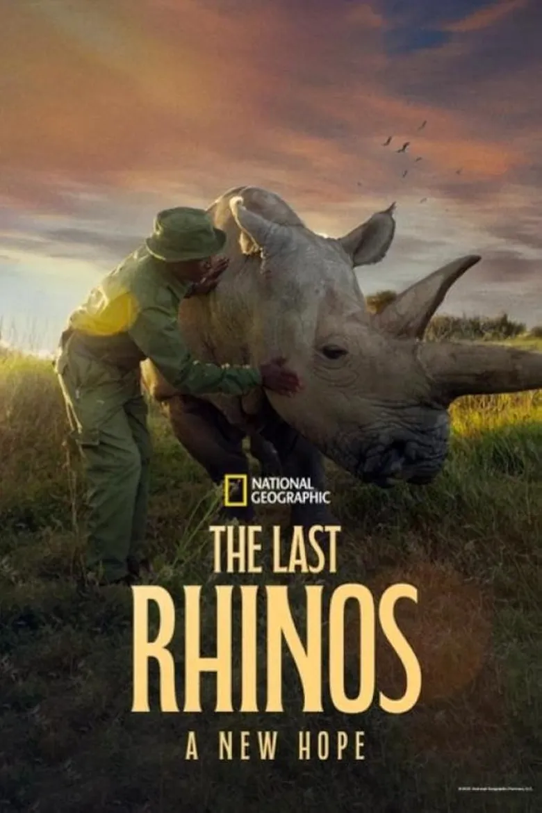 پوستر The Last Rhinos: A New Hope
آخرین کرگدن: یک امید جدید