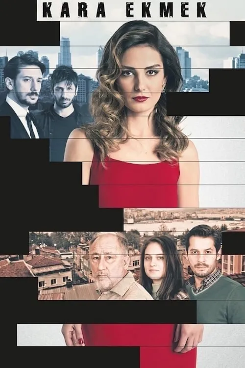 پوستر Kara Ekmek
زندگی گم شده - نان سیاه