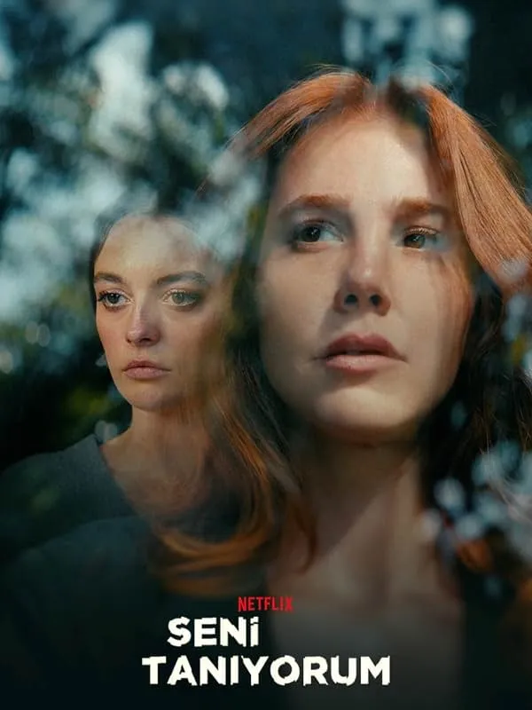 پوستر Not a Stranger
نه یک غریبه