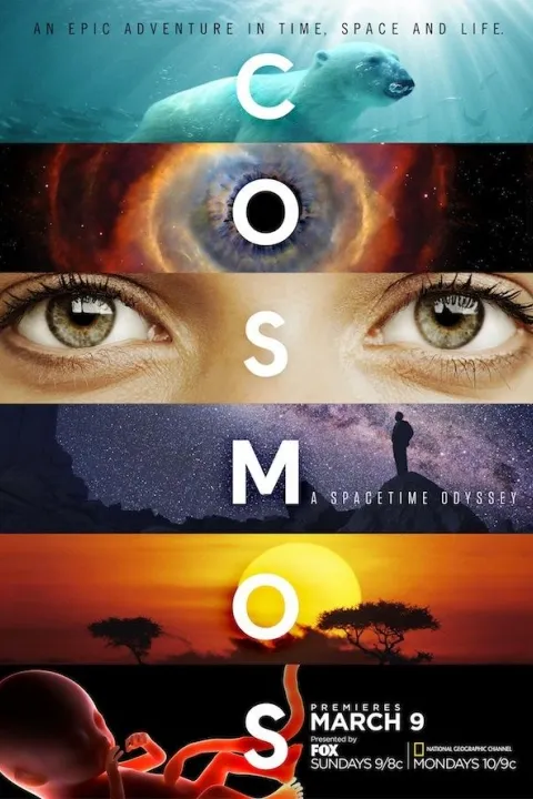 پوستر کیهان: ادیسهای فضا زمانی Cosmos: A Spacetime Odyssey